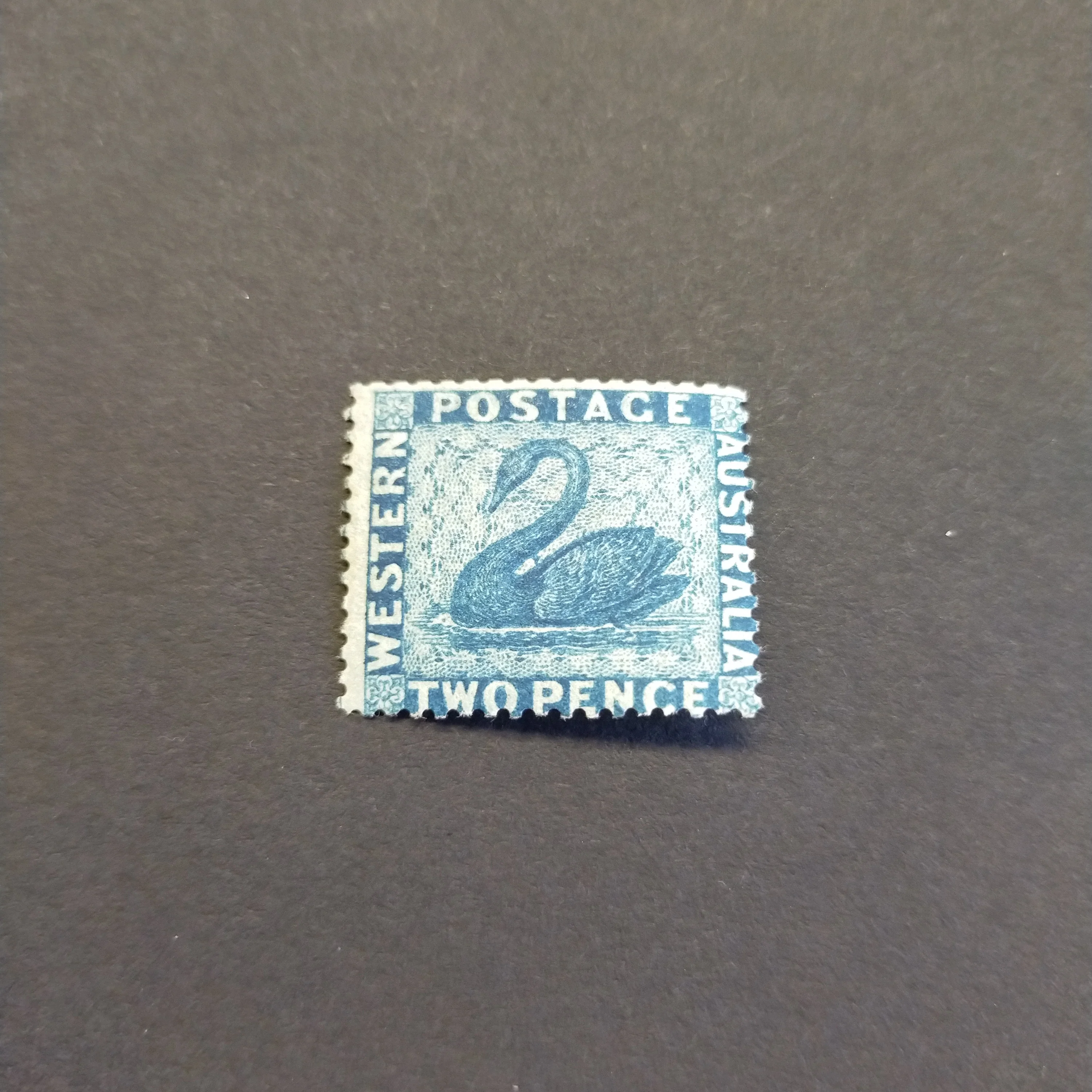 Western Australia SG 39 1861 2d Blue Fresh Mint Very Lightly Hinged Stamp