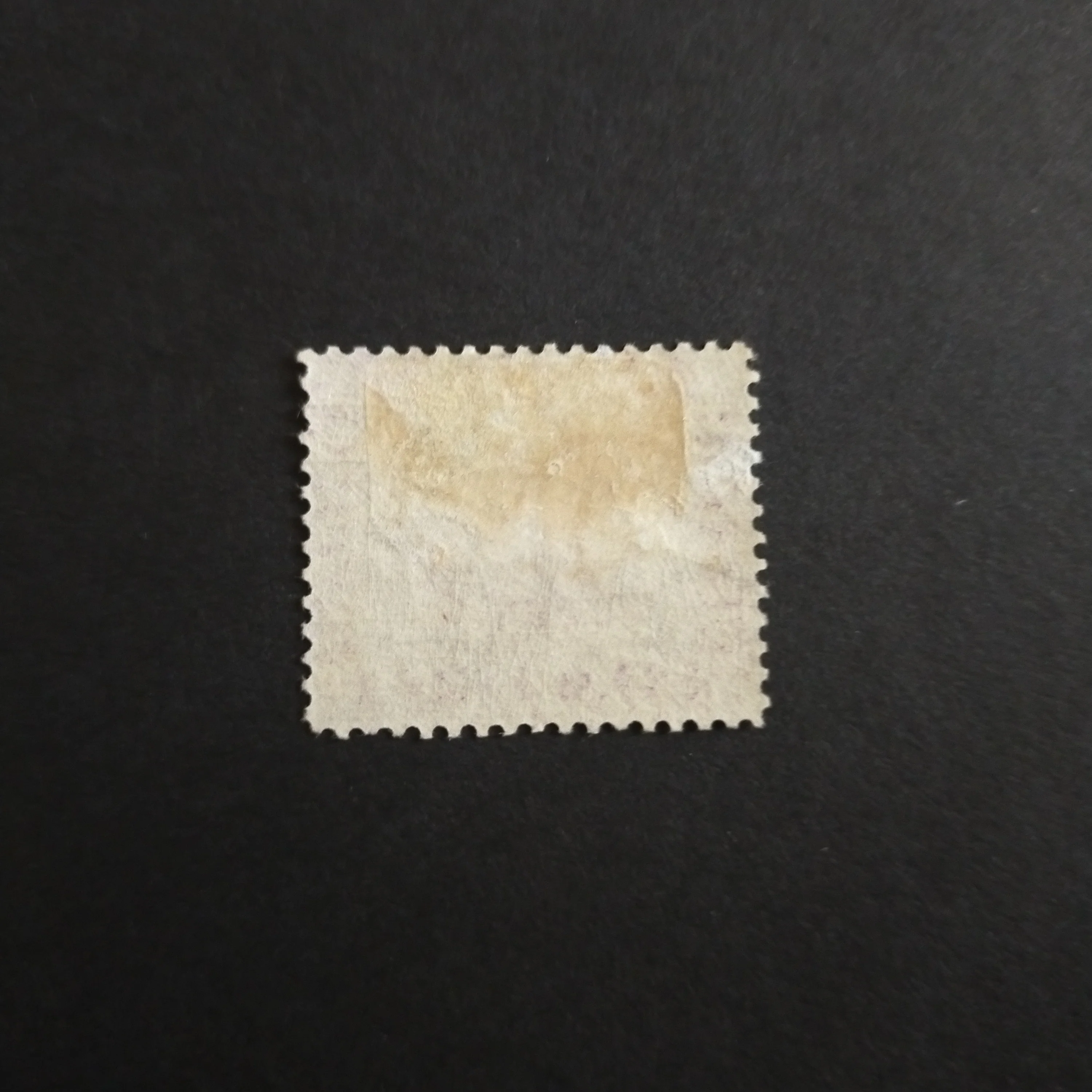 Western Australia SG 75 1877 6d Lilac Swan Stamp Mint Hinged But Frontally Fresh - Image 2