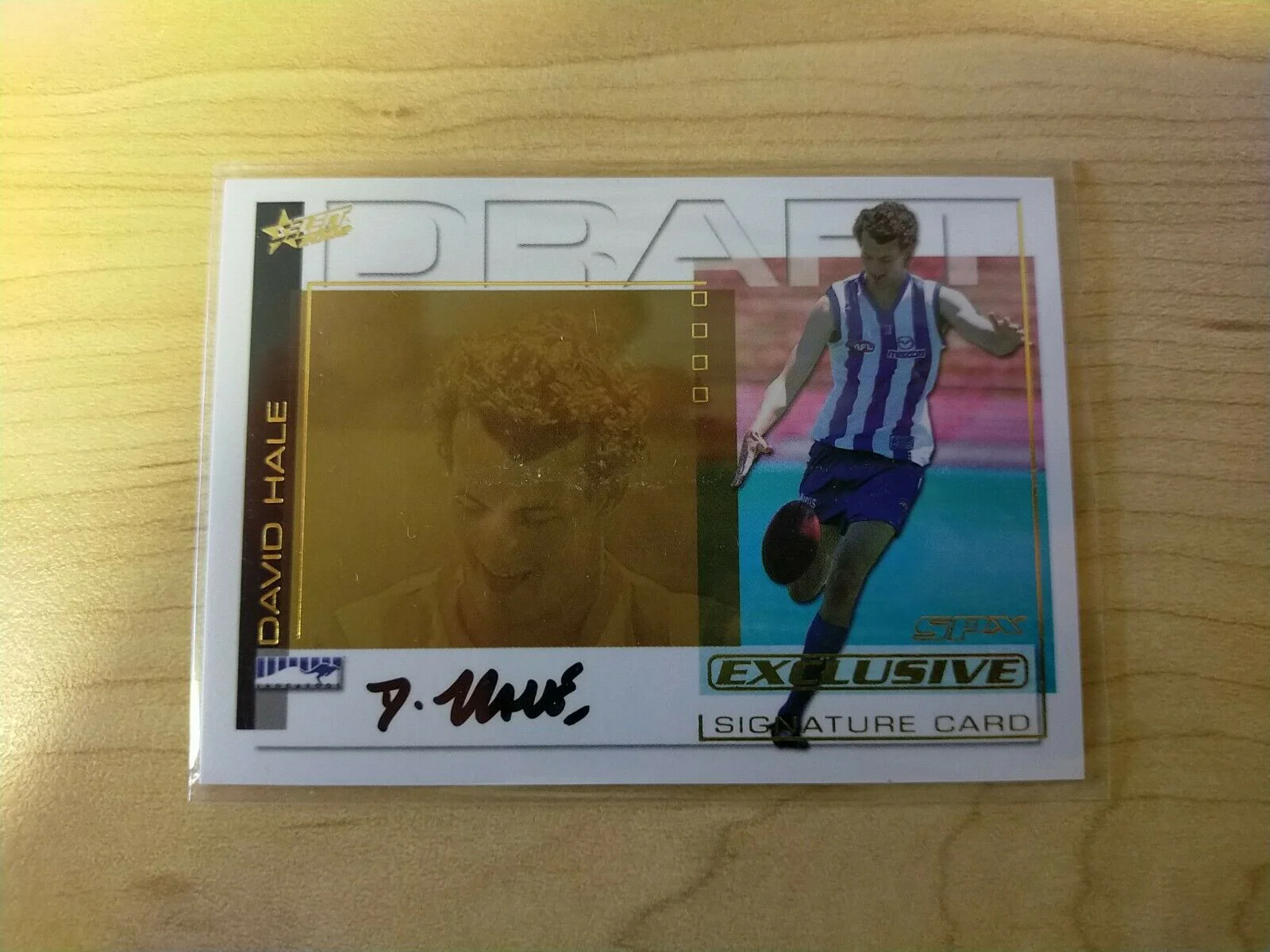 2002 Select SPX Gold Draft Signature Card David Hale North Melbourne DS7