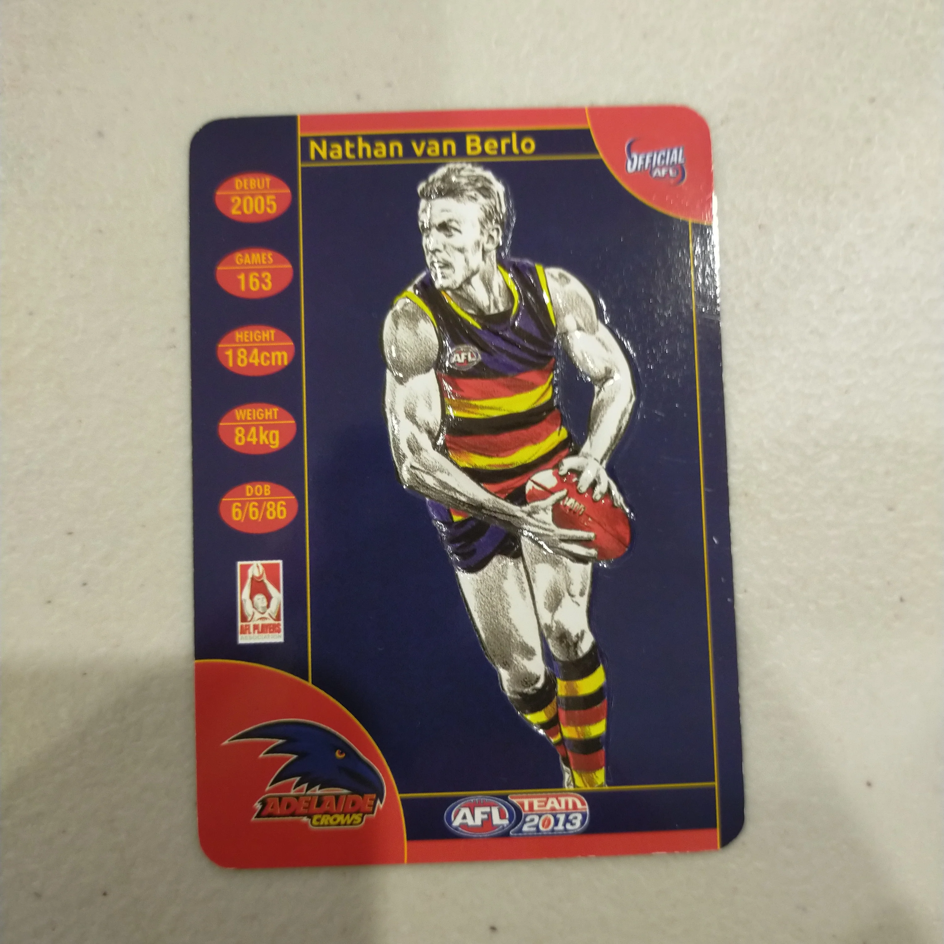2013 Teamcoach Star Wildcard Nathan van Berlo Adelaide SW-01 - Image 2