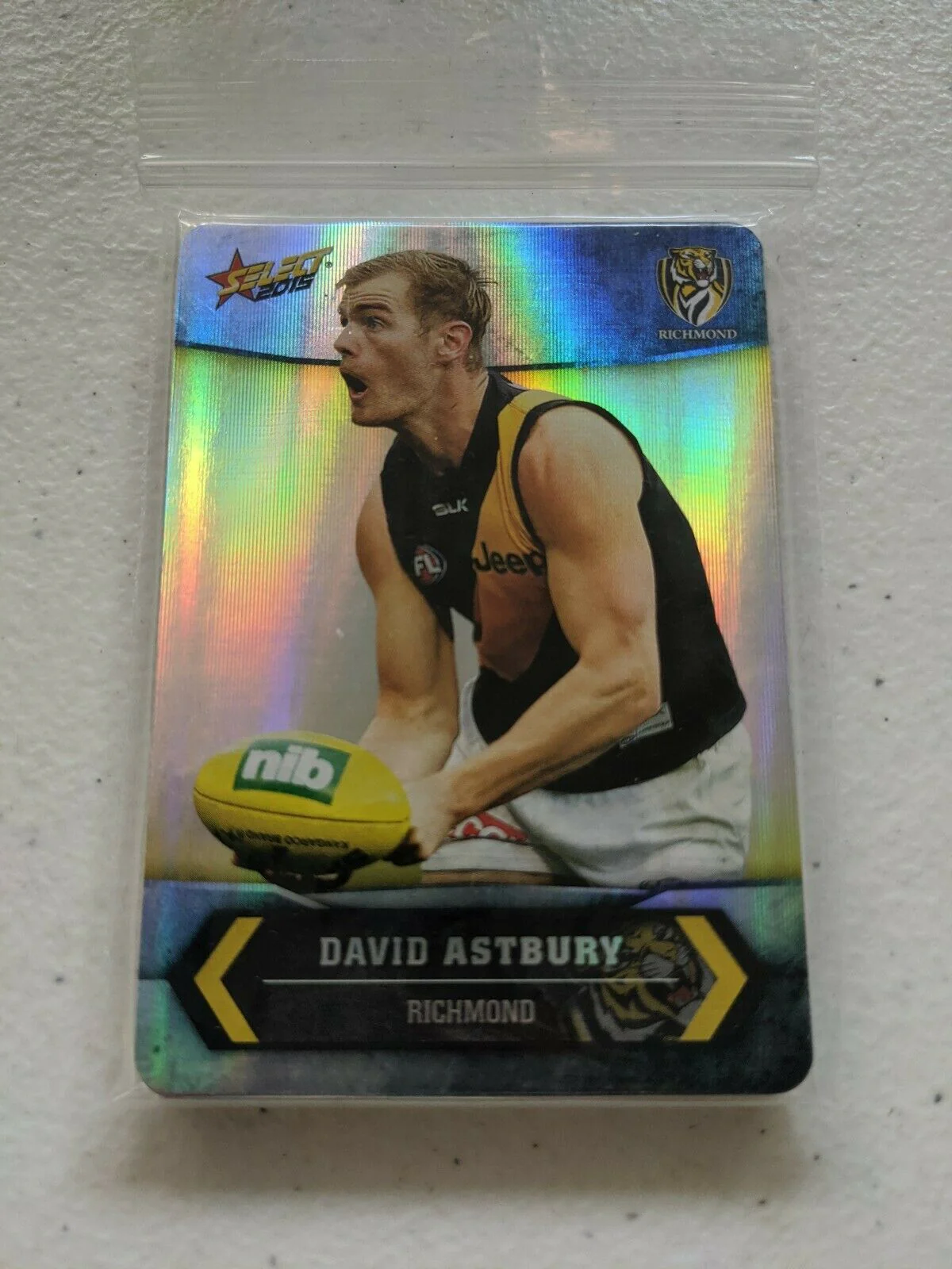 2015 Select Champions Trading Card Silver Foil Parallel Team Set Richmond Tigers