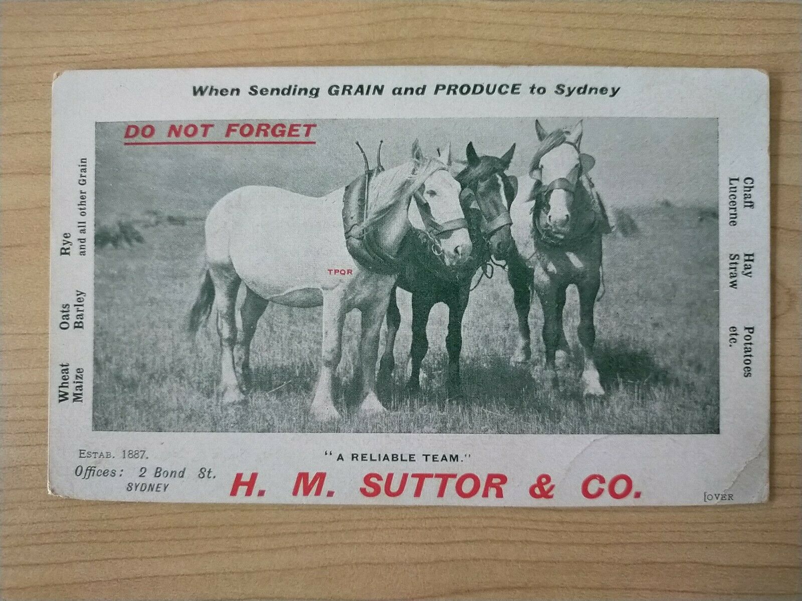 Australian Vintage Postcard H.M. Suttor & Co Grain and Produce Sydney Horses