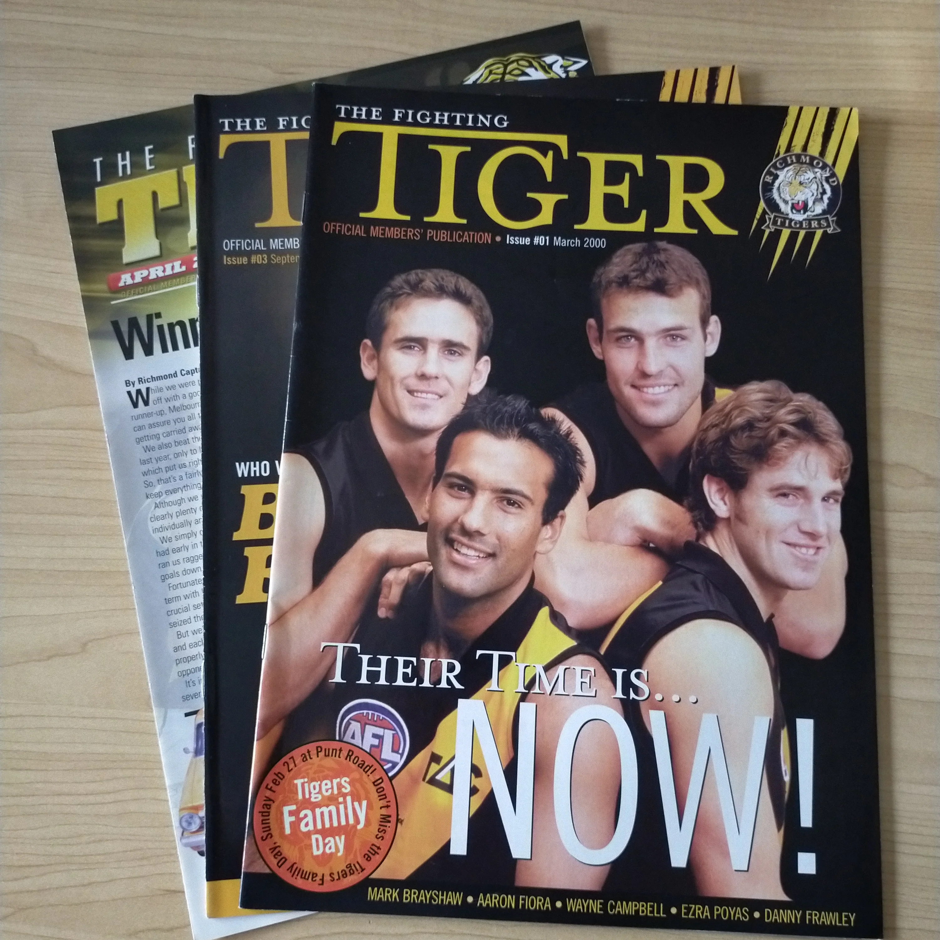 AFL Richmond Football Club Lot of Ephemera/Memorabilia - Image 6